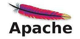 Nginx vs Apache, What's the Best Web Server for your Website?