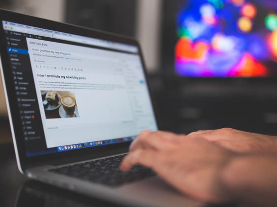 12 Best Freelance Jobs For Beginners With the Highest Paying - Writer of articles or blogs