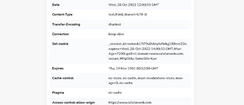 HTTP Headers Lookup