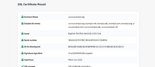 SSL Certificate Checker Tool