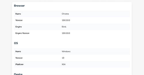 What Is My Browser Tool