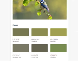 Color Palette From Image - Extract Color Theme - Genelify